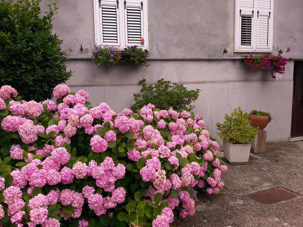 A Casa Di Silvy *