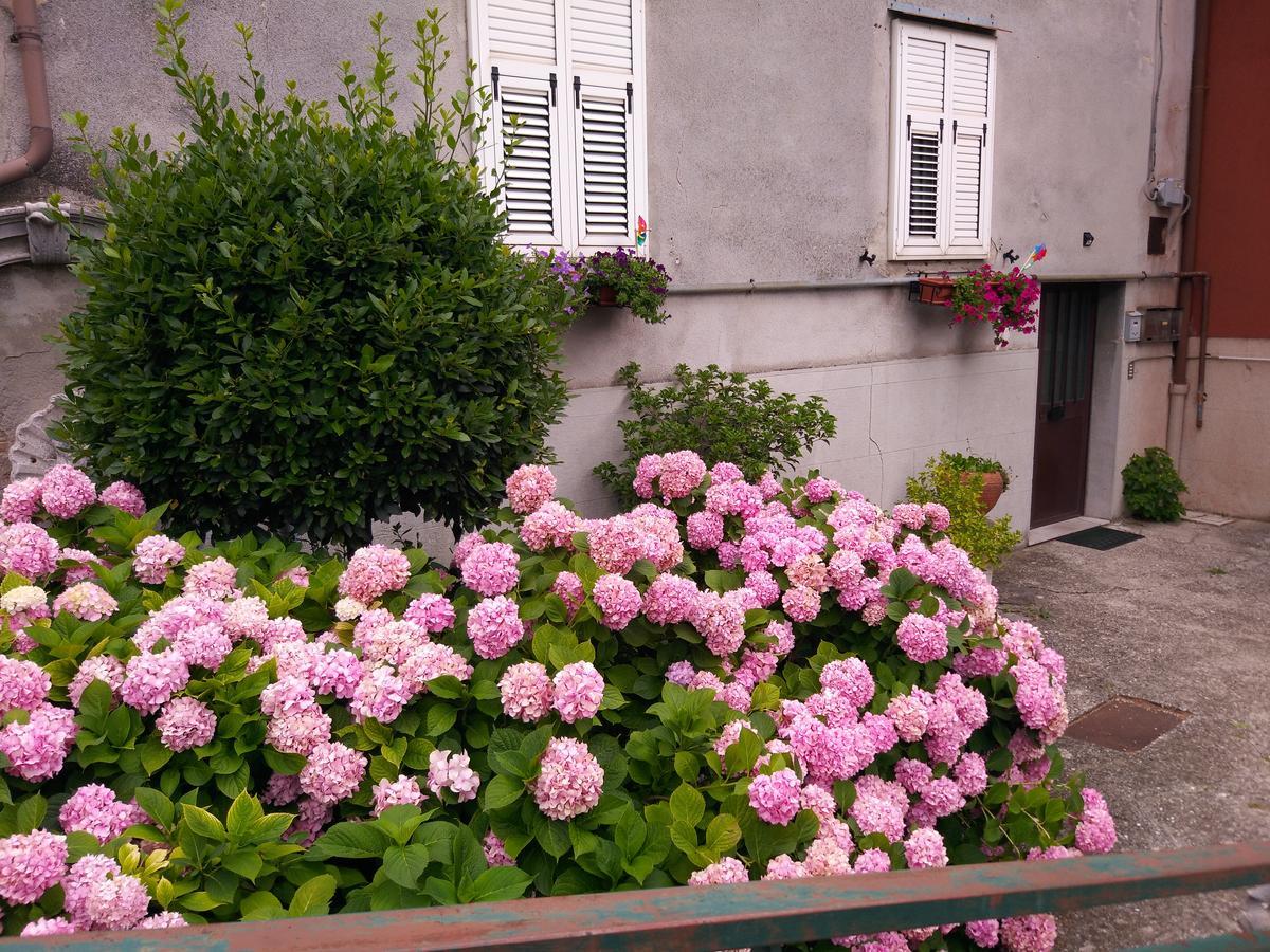 A Casa Di Silvy